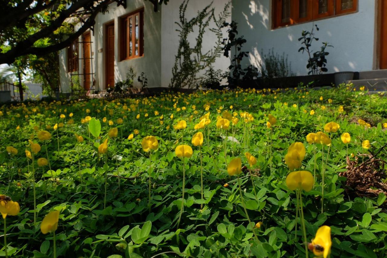 Dao Hoa Vang Villa Cam Ranh Exterior foto